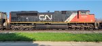 CN 8000